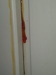 IMG-20210118-WA0010.jpg IMG-20210118-WA0010.jpg