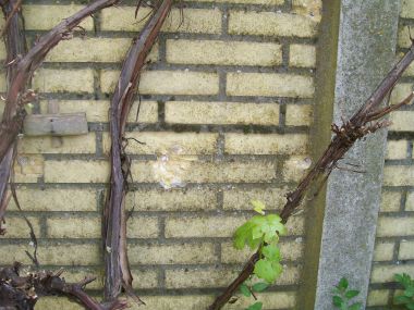 53555_000_0006_1.jpg