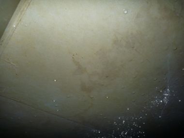 53700_Foto2_1.jpg