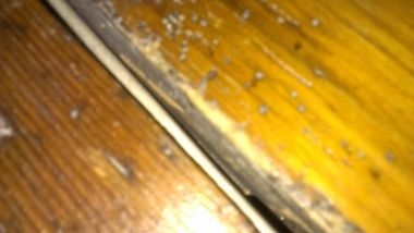 53941_IMAG0088_1.jpg