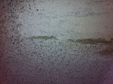 54025_image_3.jpg
