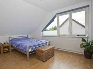 54068_raamdecoratie_1.jpg