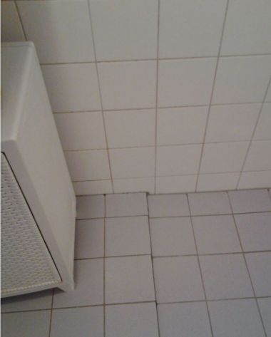 54154_Capture_1.jpg