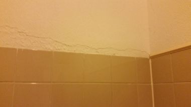 54255_20141124_061658_1.jpg