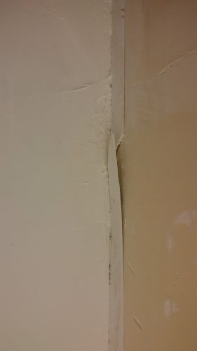 54407_IMG_20160229_201136_1.jpg