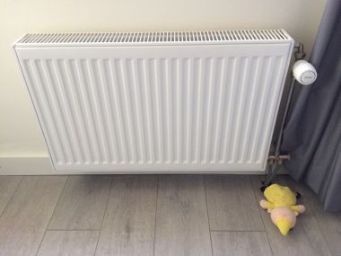 54585_radiatorR_1.jpg